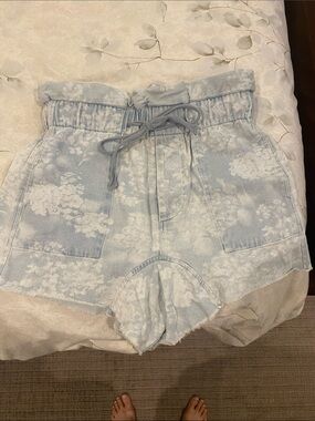 THE GREAT shorts. Excellent condition. Size 2 (medium)